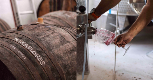 Raúl Moreno Yagüe’s Winemaking Project in Jerez